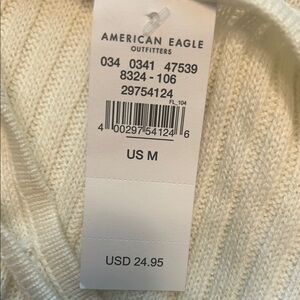 American Eagle Outfitters Women's V-Neck Sweater in Cream